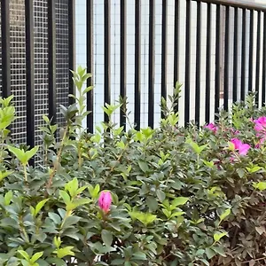 Apartamento Apartamento - Park Sul, Brasília